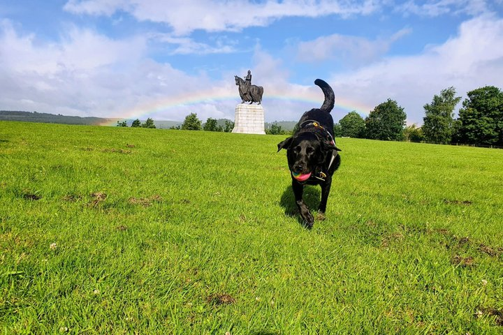 Bannockburn Battlefield Tour - Photo 1 of 21
